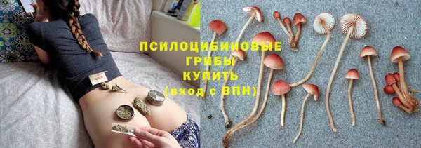 каннабис Абаза