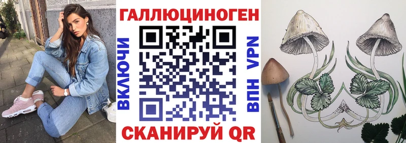 магазин продажи наркотиков  Алагир  Галлюциногенные грибы мухоморы 